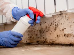 Professional Mold Prevention & Removal  in Three Rivers, OR